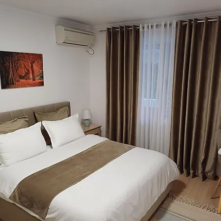 Regis * ティラナ